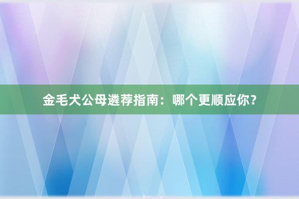 金毛犬公母遴荐指南：哪个更顺应你？
